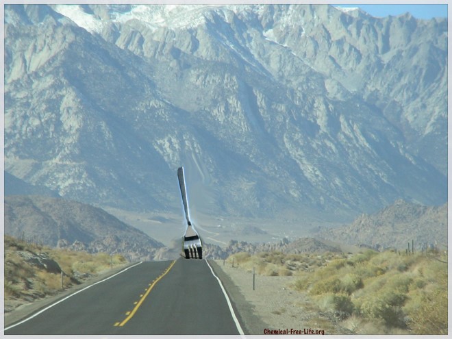 fork in the road complete