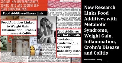 metabolic syndrom link food additives