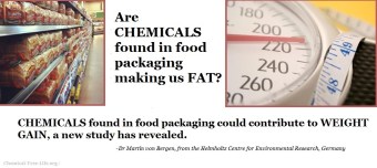 cfl-graphic-food-packaging-chemicals-linked-with-weight-gain-phthalates