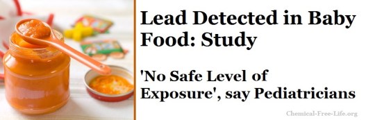 lead detected in baby food