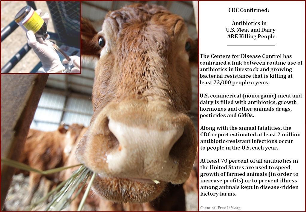 CFL Graphic-Antibiotics in meat and dairy