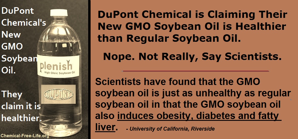 cfl graphic-gmo soybean oil not healthier