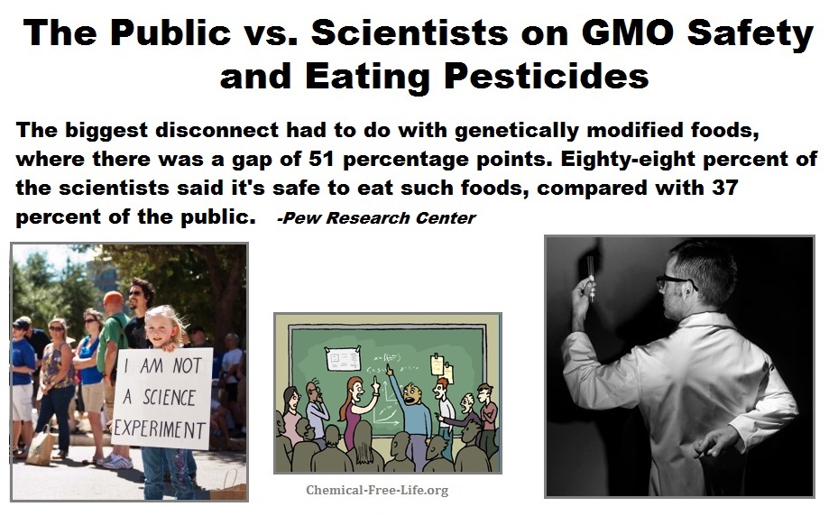 cfl graphic-scientists vs public on gmo-pesticide safety