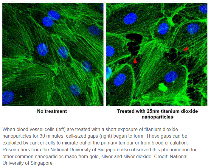 titanium dioxid effect on blood vessels-before and after