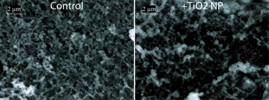 titanium dioxide effect on intestines before and after shots