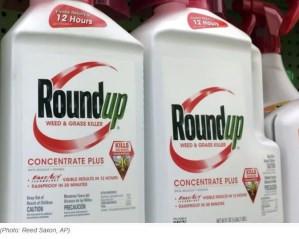 roundup weedkiller concentrate
