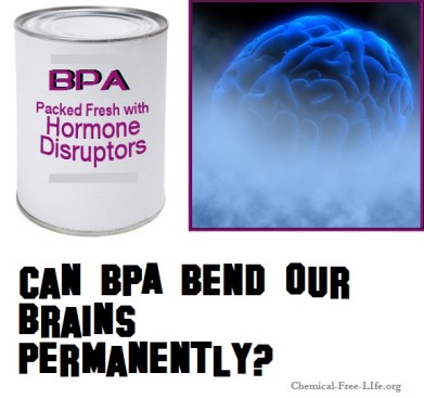 BPA Brain Bending endocrine disruptor