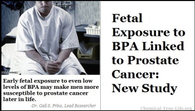 CFL Graphic-BPA Prostate cancer link