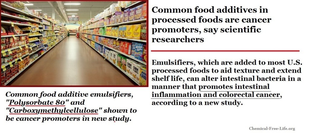 food additive emulsifiers are cancer promoters