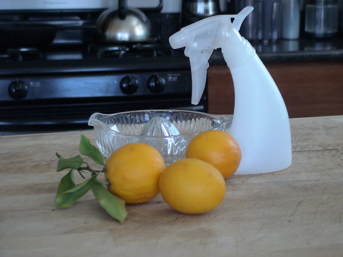 DIY-Homecare-HomeMade cleaners