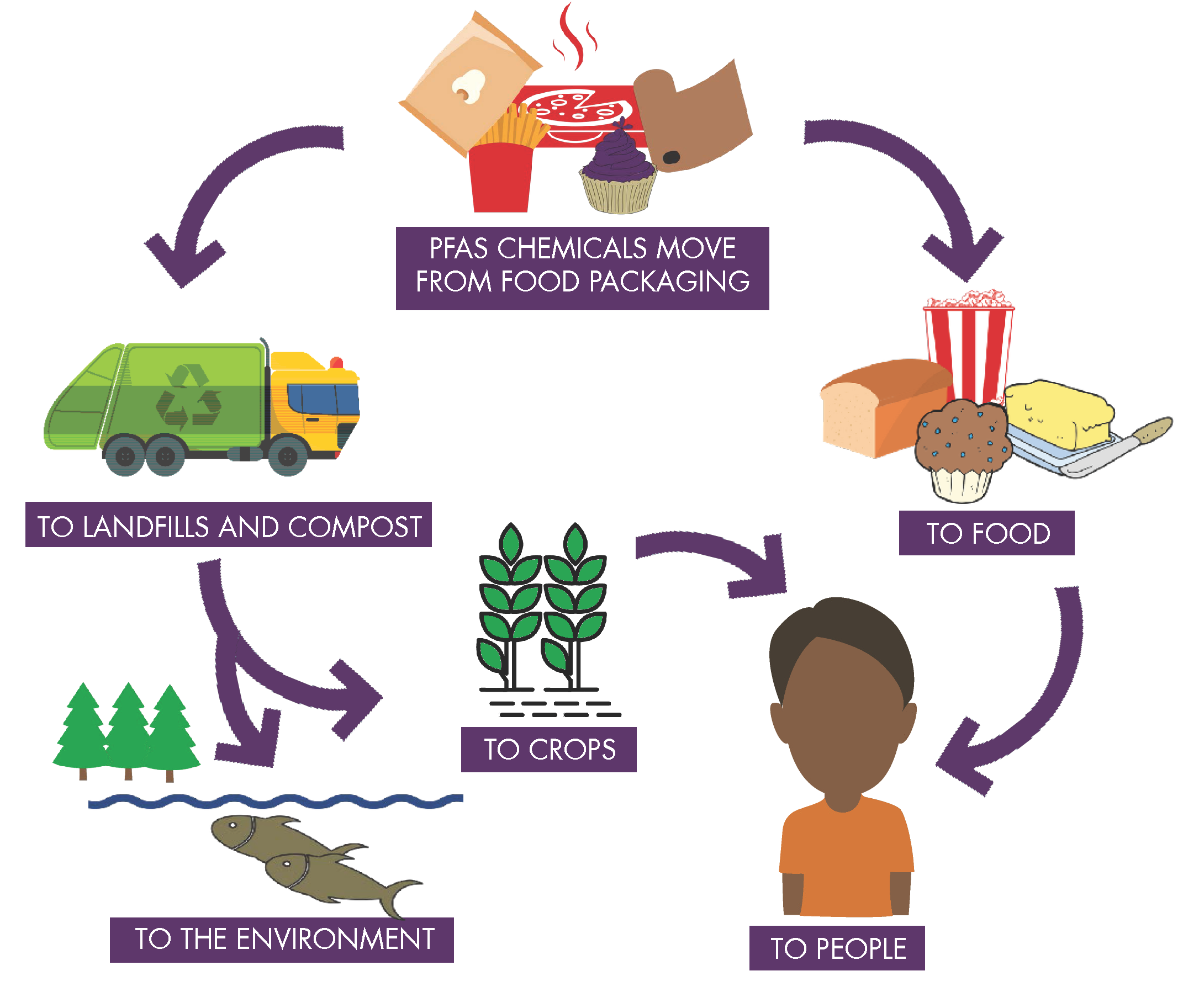 pfas info graphic-michigan dept of environ quality
