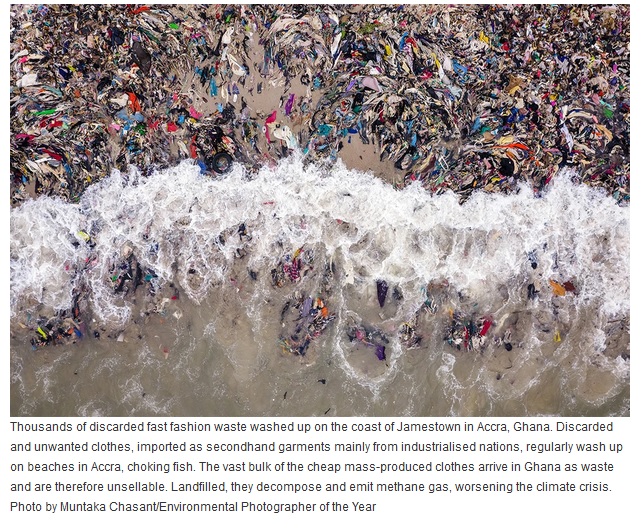 Env Phot Yr 2022-MAIN