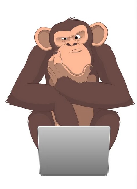 WordPress Coder Clearly Confused